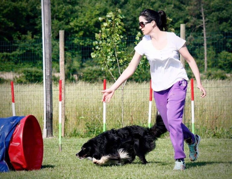 Martina & Timer - in ricordo della prematura scomparsa ex agility 3