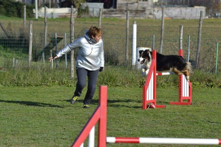 Marta & Ax - in ricordo della prematura scomparsa ex agility 2