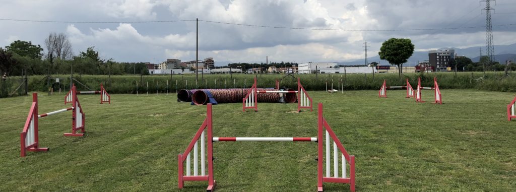 Agility2