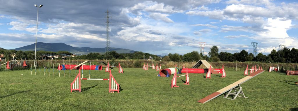 agility1